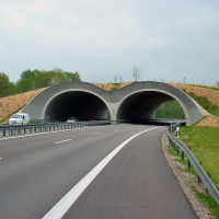 Grünbrücke über die Bundesstraße B 2 neu zur Verbindung der Lech-Auen bei Stettenhofen, Landkreis Augsburg, Schwaben