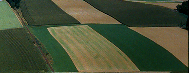Agrarlandschaft - Prägendes Landschaftsbild