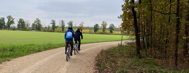 Ein Forstweg, auf dem zwei Radfahrer fahren